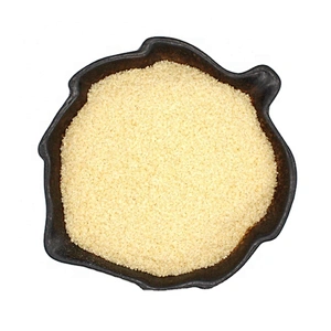Factory Supplies Bulk Halal Bovine Gelatin Powder Made in China Factory